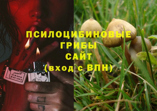 твердый Белоозёрский