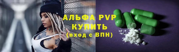 СК Богородск